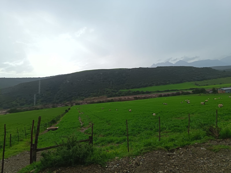 4 Bedroom Property for Sale in Oudtshoorn Rural Western Cape